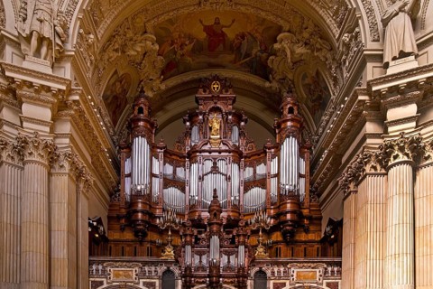 Sauer organ