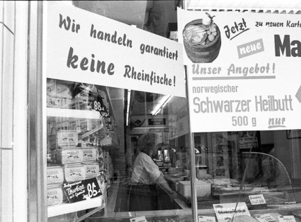 Photos and events from the Ruhr area in the years 1965 to 1971. Fish shop after Rhine poisoning