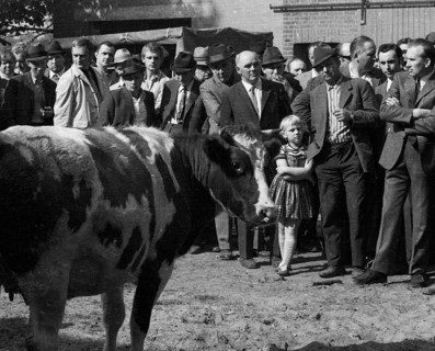 The auction of a bankrupt farm on 22. 09. 1971 in Greven in Muensterland