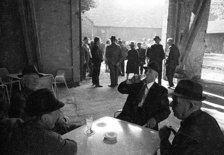 The auction of a bankrupt farm on 22. 09. 1971 in Greven in Muensterland