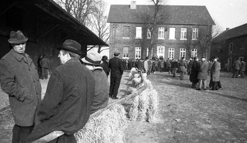 The auction of a farm on 2. 3. 1972 in the Muensterland in Ascheberg with all inventory and livestock