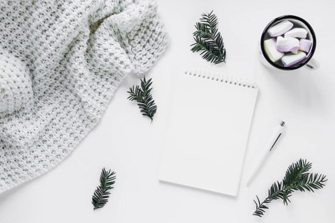 Blanket hot chocolate near conifer twigs notebook