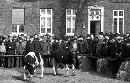 The auction of a farm on 2. 3. 1972 in the Muensterland in Ascheberg with all inventory and livestock