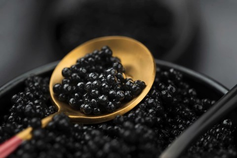 Black caviar golden spoon