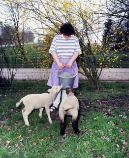 Small farmers in agriculture