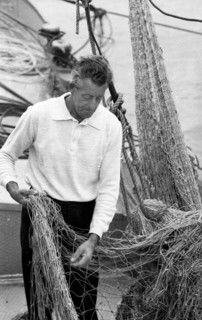 The poison accident on the Rhine