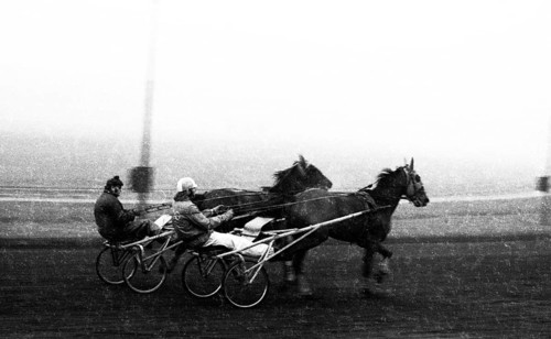 Norbert Nigbur