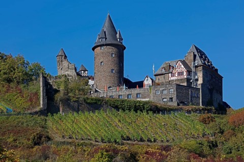 Stahleck Castle