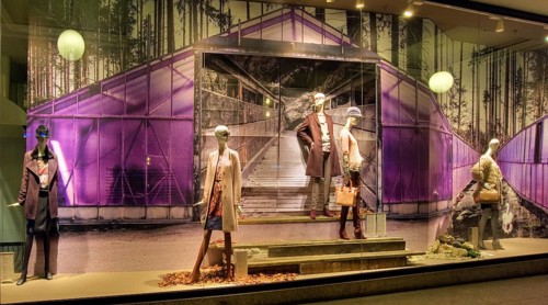 Shop window