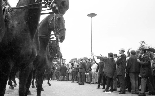 During the 1969 federal election campaign