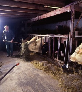 Small farmers in agriculture