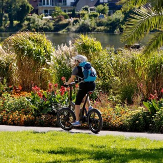 Bicycle rider on the Ruhr valley cycle path with lush vegetation at the reservoir