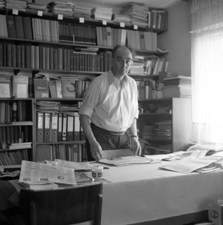 Conferences of the newly founded communist party