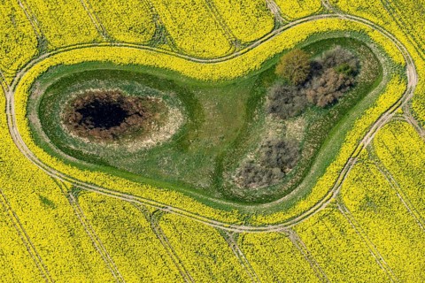 Aerial view of a Soll in a rape field