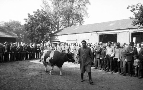 The auction of a bankrupt farm on 22. 09. 1971 in Greven in Muensterland