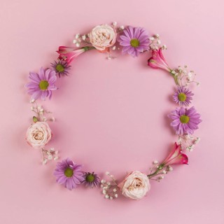 Blank circular frame made with flowers pink background