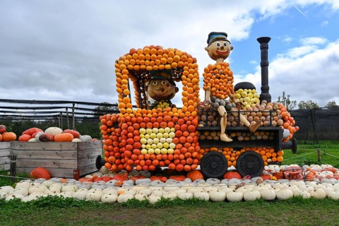 Figure Locomotive Pumpkins