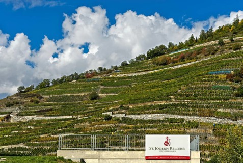 Company sign of the St Jodern Winery in front of vineyards
