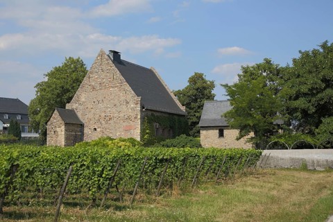 Historic Grey House with Vines