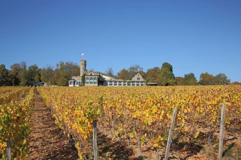 Schwarzenstein Castle in the vineyard