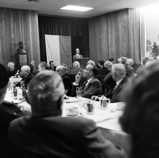 Election campaign for the 1966 federal election of the parties