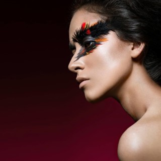 Beautiful girl in the image of the Phoenix bird with creative makeup .The beauty of the face. Photos shot in studio