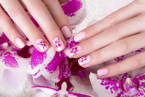 Shot beautiful manicure with flowers on female fingers. Nails design. Close-up. Picture taken in the studio on a white background