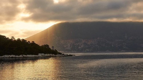 Morning light