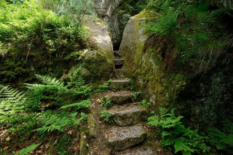 Rock