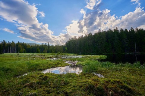 Fichtelsee