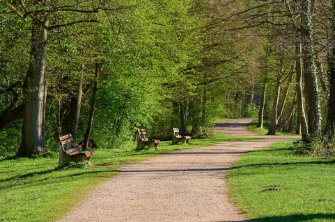 Path