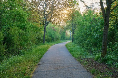 Way
