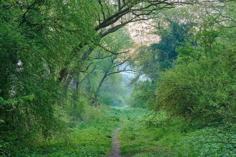 Way