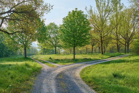Forked gravel path