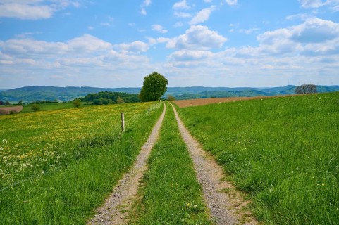 Landscape
