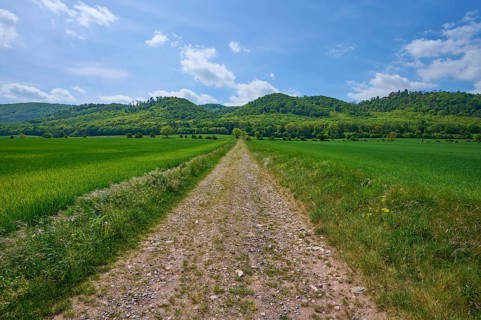 Gravel path