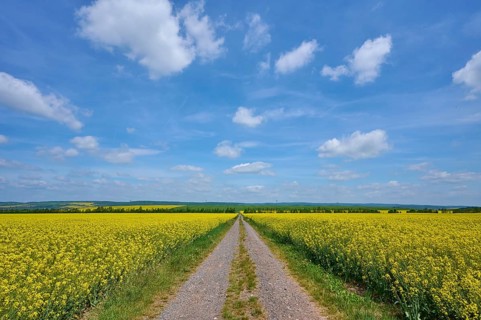 Gravel path