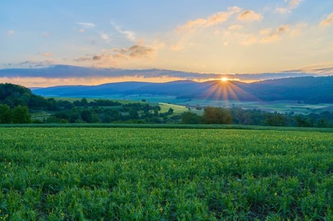 Landscape