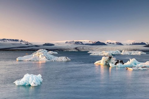 Joekulsarlon glacier lagoon