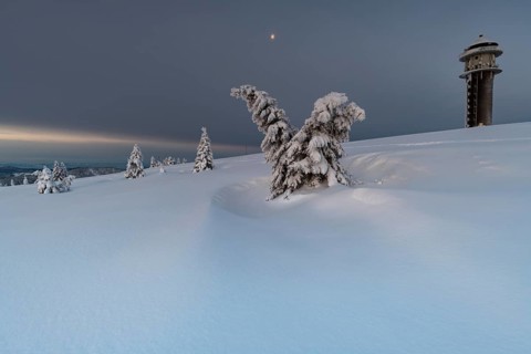 Snow-covered trees and landscape and the new Feldberg tower on the Feldberg in front of sunrise