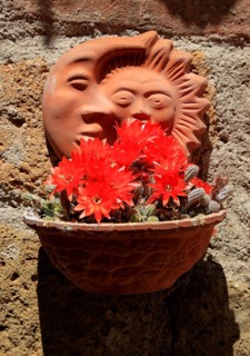 Bowl with flowering cactus and behind it moon and sun made of clay on a house wall