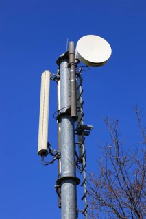 Transmission mast with directional radio antenna and antennas for mobile phone reception