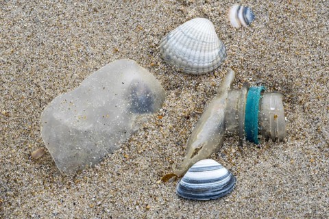 Old partly broken down plastic bottle