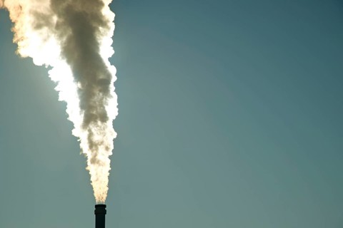 Smoking chimney of a modern biomass-fuelled combined heat and power plant