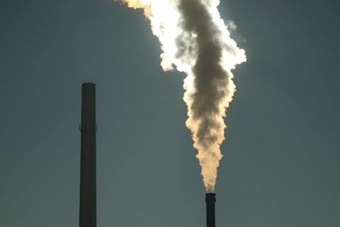 Smoking chimney of a modern biomass-fuelled combined heat and power plant