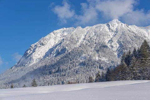 Rubihorn
