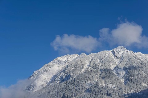 Rubihorn