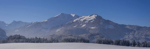 Fellhorn