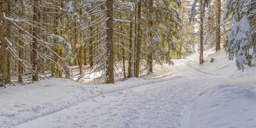 Hiking trail near Soellereck