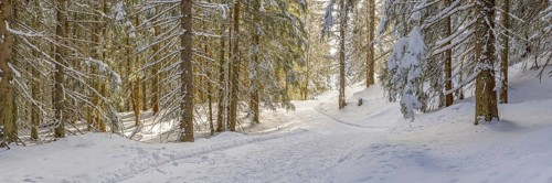 Hiking trail near Soellereck